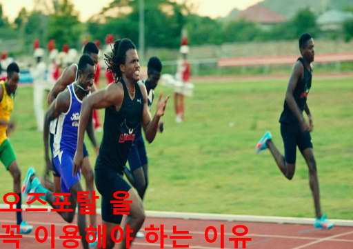 오즈포탈
